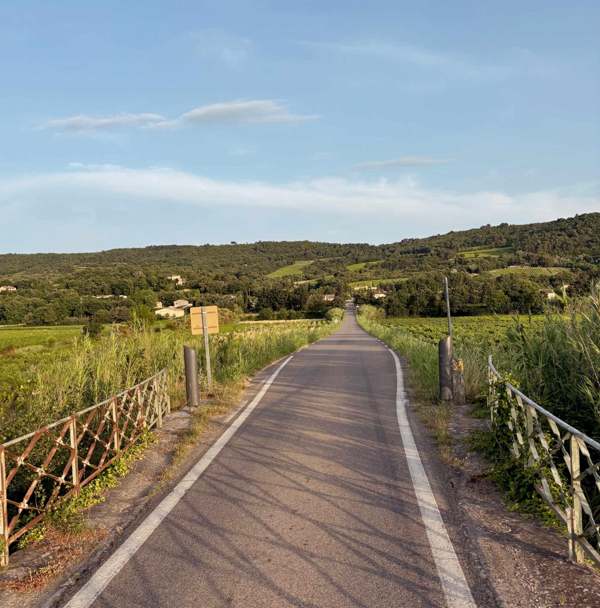 Sweet Provence