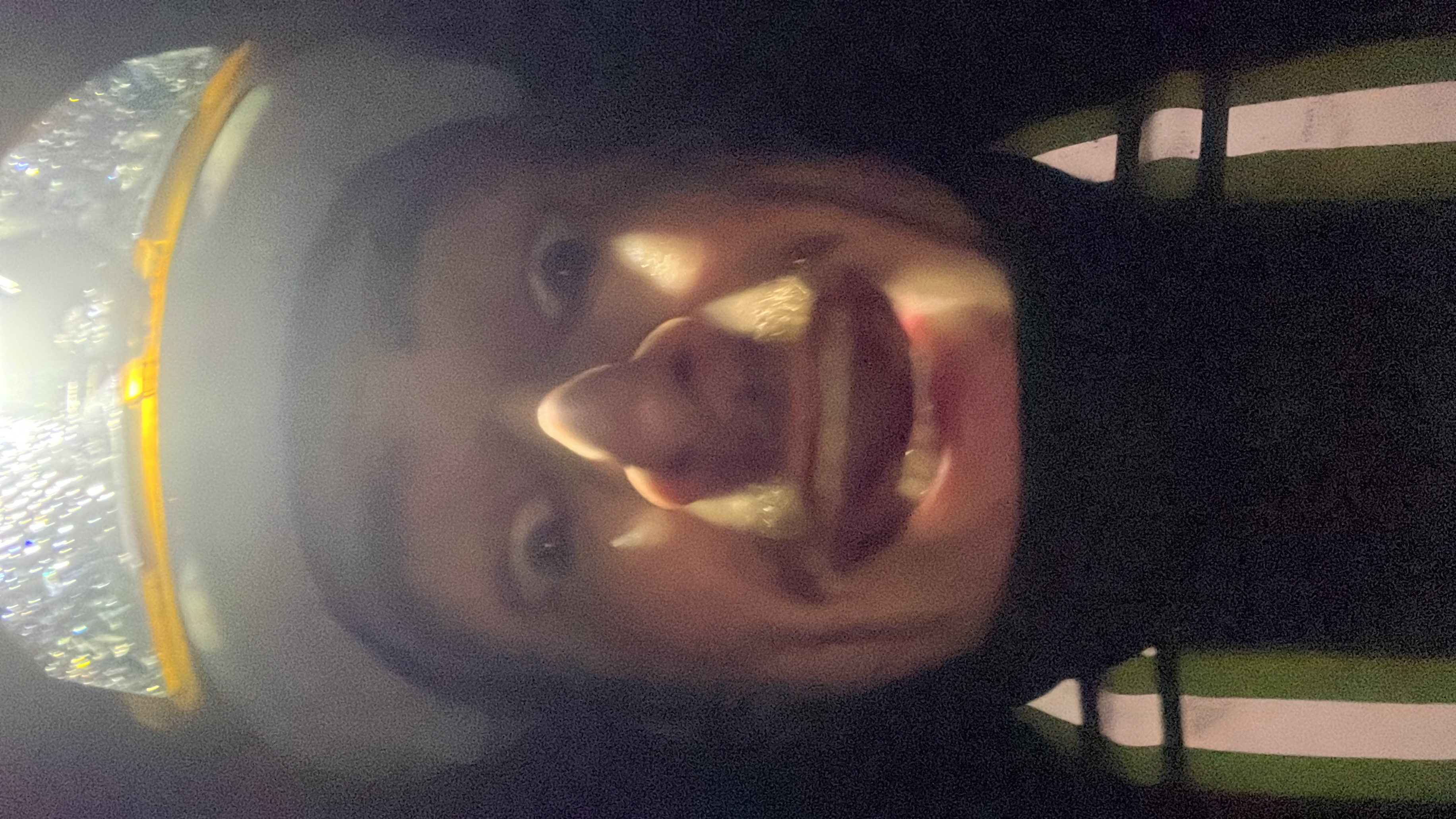 Selfie classique à 3h du matin