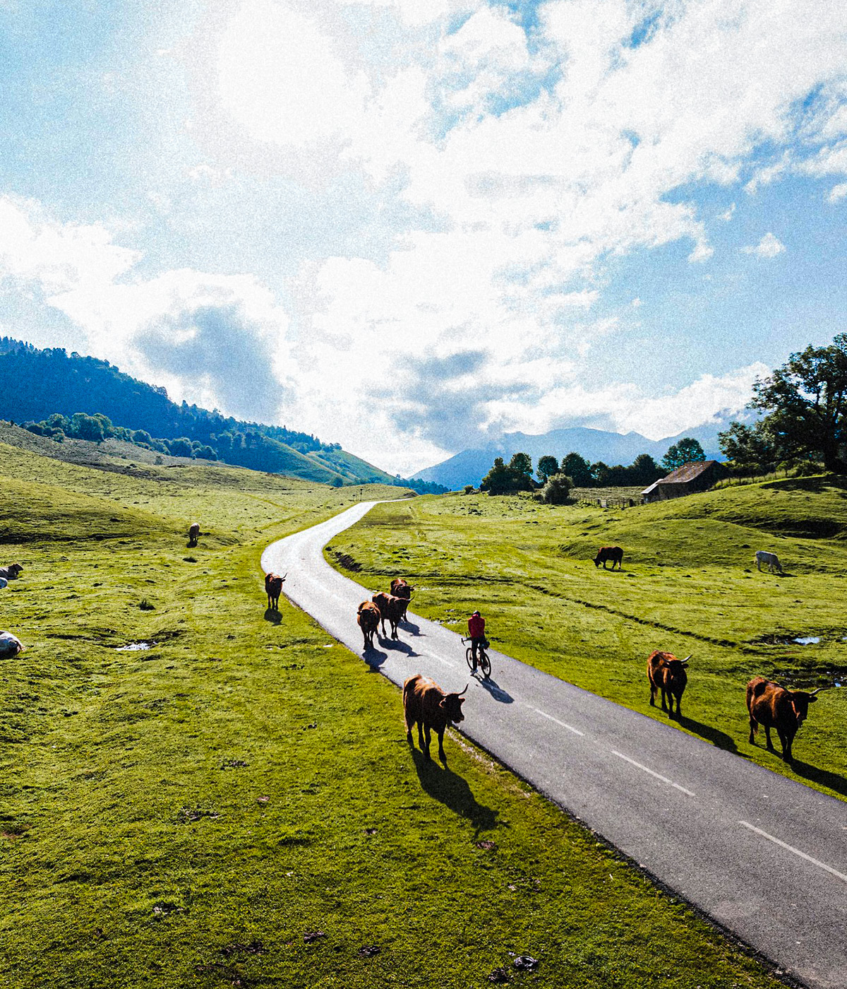 Race across France 2024